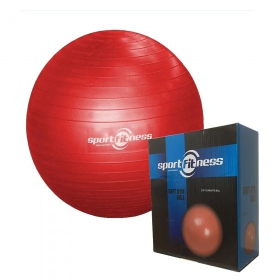 Balón Pilates Terapia Yoga Pelota Gym Ball 65 Cm Abdominales